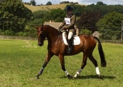 Picture Perfect warming up for his dressage at Broadway Horse Trials