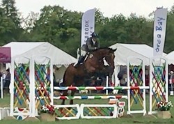 Star of Memory competing at Weston Park Horse Trials