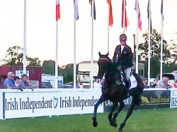 Director General 5th in the CIC*** Tattersalls