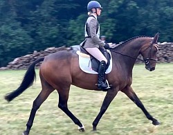 Young Officer Upton House