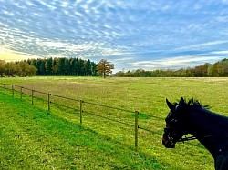 Turnout and on site hacking track